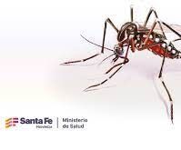 Continúa el descenso de casos de dengue en la provincia