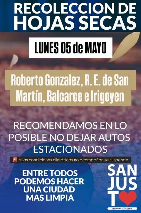 Recolección y aspirado de hojas secas